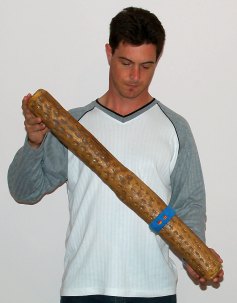 Rainstick